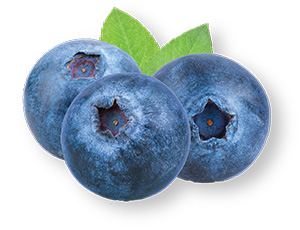 Bluebery